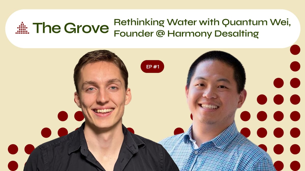 Rethinking Water with Quantum Wei