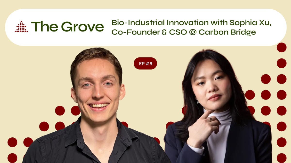 Eat the Gas! Sophia Xu w/CarbonBridge