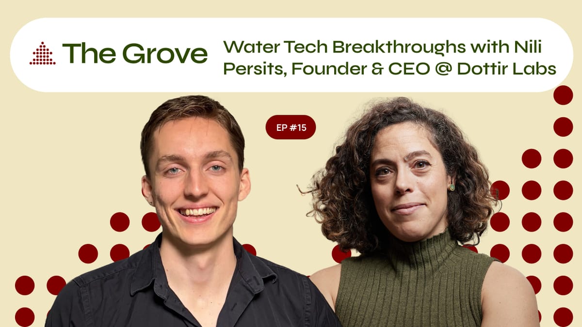 Just Keep Swimming Nili Persists w/Dottir Labs