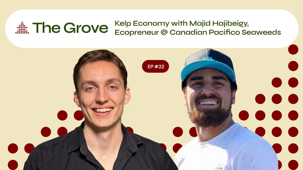 The Skelptacular Weed ~ Majid Hagibeigy w/Candadian Pacifico Seaweeds