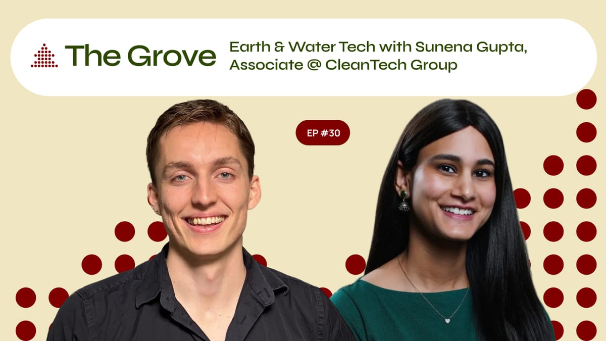 Understanding the Earth Observation Industry: Sunena Gupta w/Cleantech Group