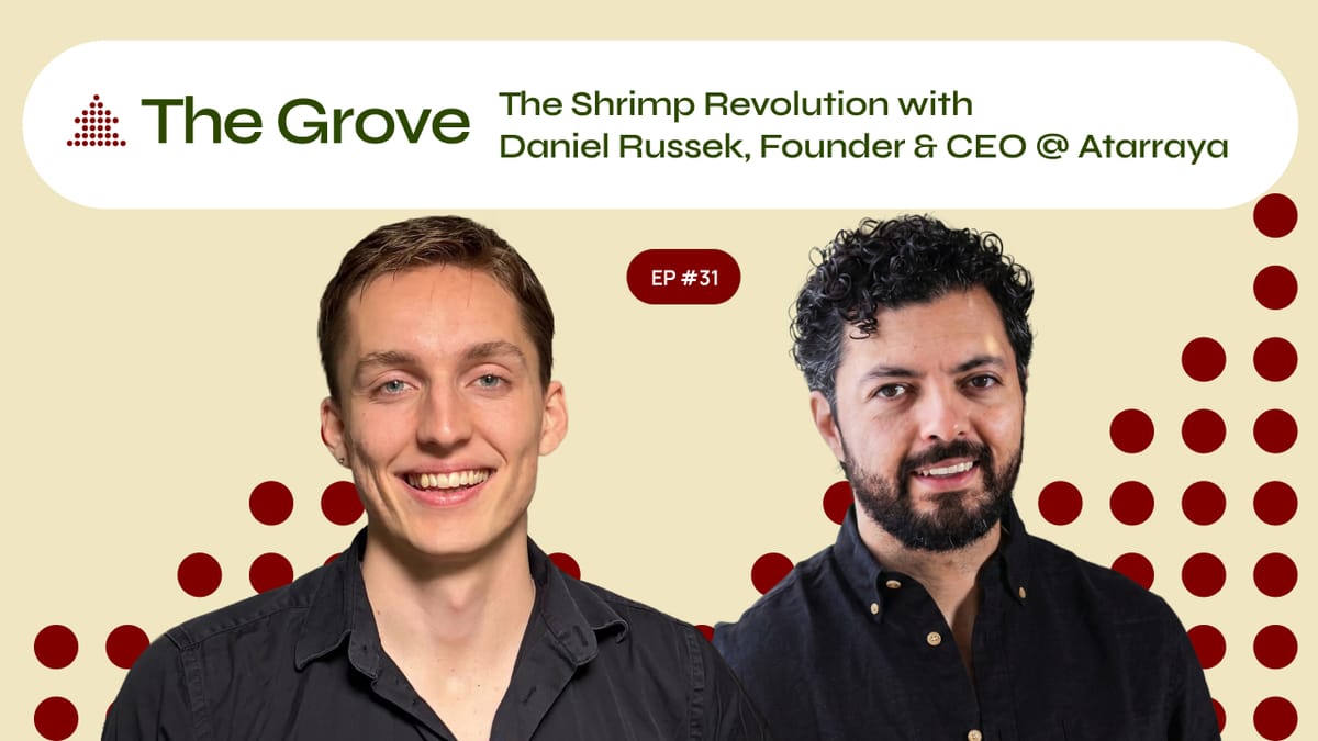 We need Mangroves. Better Shrimp Saves Mangroves. // Daniel Russek w/Atarraya