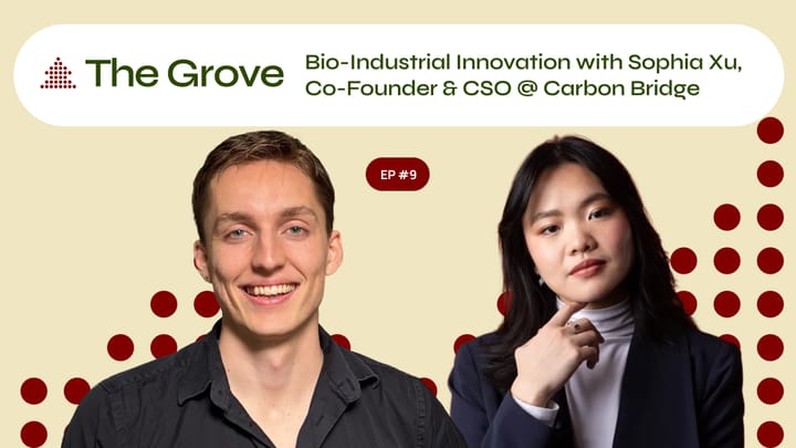 Eat the Gas! Sophia Xu w/CarbonBridge