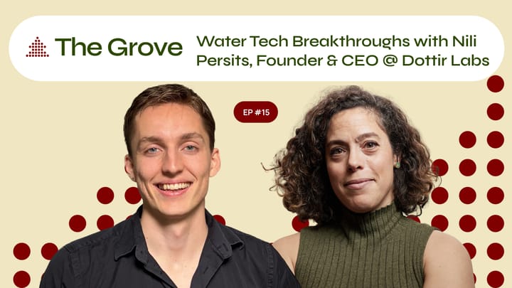 Just Keep Swimming Nili Persists w/Dottir Labs