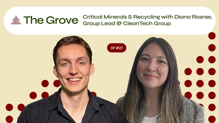 Understanding the Critical Minerals Industry: Diana Rasner w/Cleantech Group
